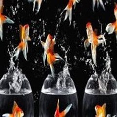 Shortfilms