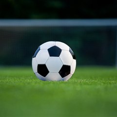 Perhaps12h Davidfields