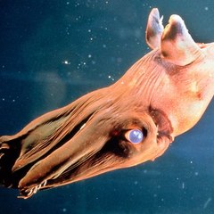 Gardengold69 Cynthiaprice