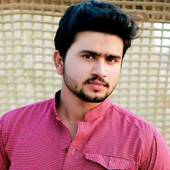 Waleed Raza