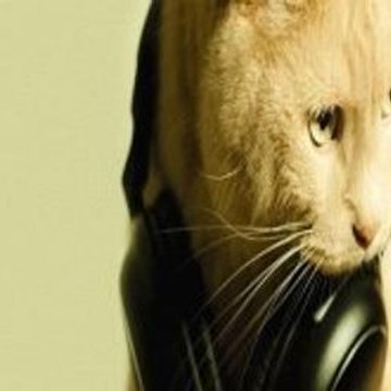 Shortfilms