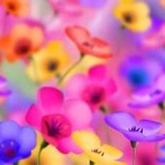 Cute Sings