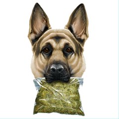 ChoppedandScrewed Videos