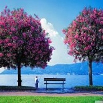 English For Interview