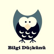 Bilgi Düşkünü