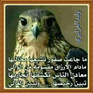 وليد العزايزى