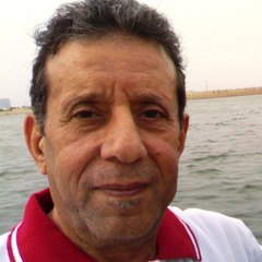 hanafi mahmoud