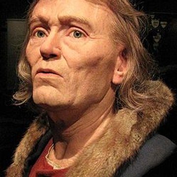 Ostrogauti