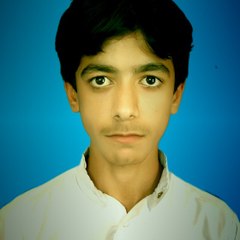 hafizab48