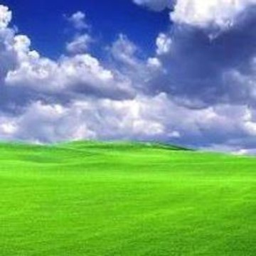 Pakistan Army Training