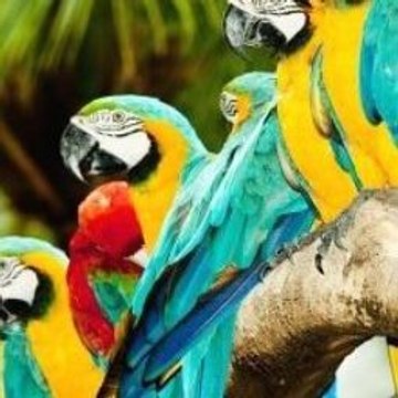 Funny Accident Videos 2015