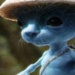 Animal Documentary