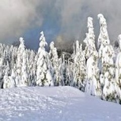 Cartoon Action Movies