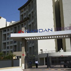 Nandan Euphora
