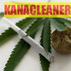 CoolCannabis7839