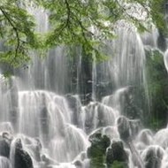 Cartoons for Children