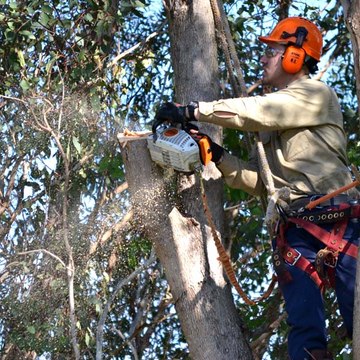 Jims Tree Removal Brisbane