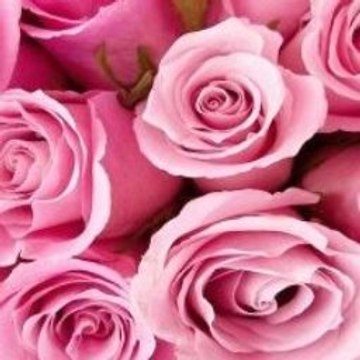 Children Arabic Songs