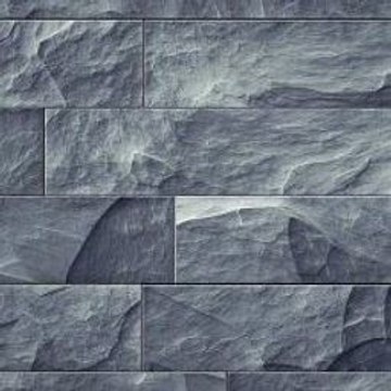 Bapaxes