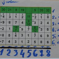 le chien le plus intelligent du monde