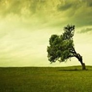 A Musical Celebration