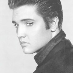Elvisfancoversinger