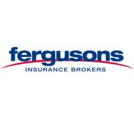 Fergusonsins