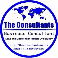 Business  Consultant | Political Consultant