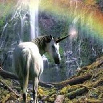 A Animal Song