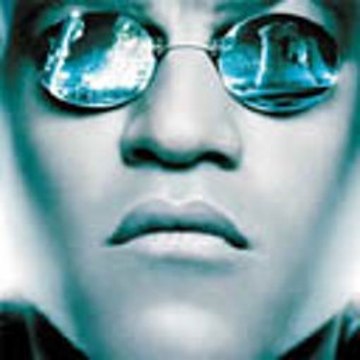 A Animal Giving Birth