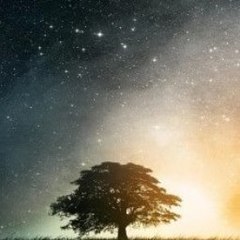 Shortfilms