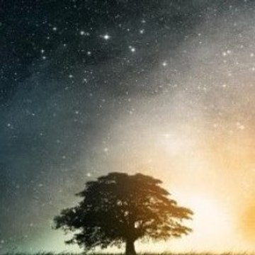 Shortfilms