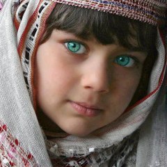 Quetta Waal