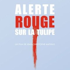 Alerte rouge sur la tulipe