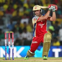 Crazy for Cricket