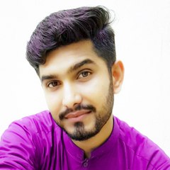 Adeel Hassan