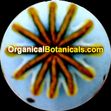Organical Botanicals