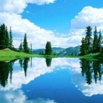 Funny Compilation 2015