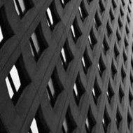 Animal I Have Become