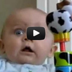 Funny Video Collection
