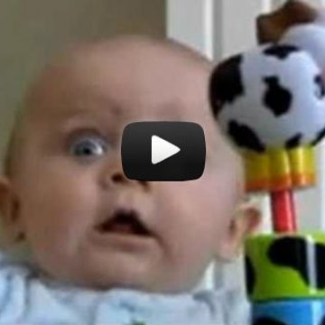 Funny Video Collection