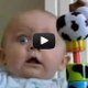 Funny Video Collection