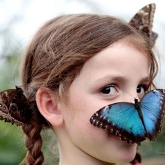 Amazing VIDEOS .