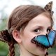 Amazing VIDEOS .