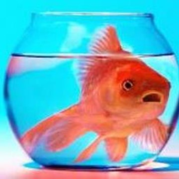 English For Children