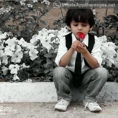 Videos Dose
