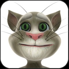 TOM CAT FUNNY VIDEOS