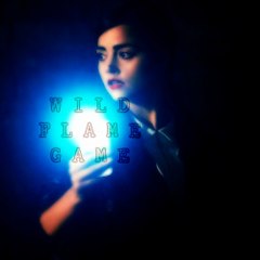 WildFlameGame