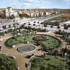 aydinzorman