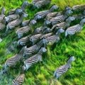 Lego Animation
